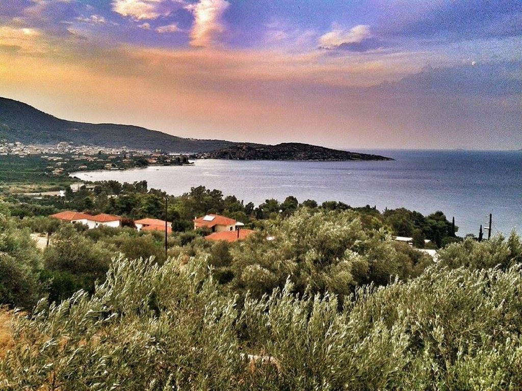 Apartament Athina Ecofarm Epidaurus Zewnętrze zdjęcie