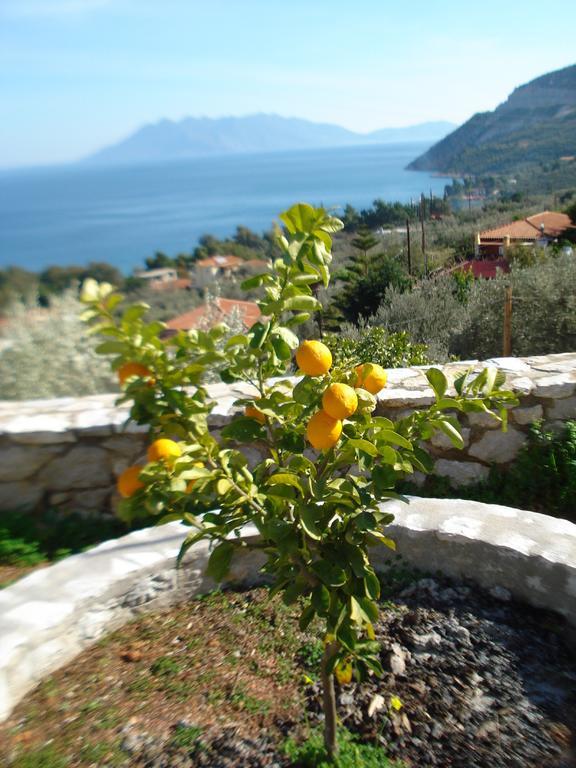 Apartament Athina Ecofarm Epidaurus Zewnętrze zdjęcie